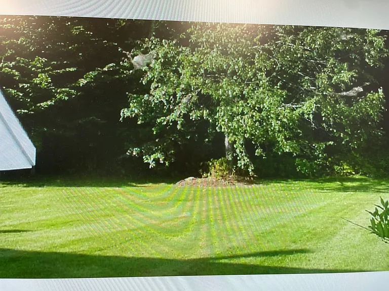 176 Alpine Village Dr — Photo 3