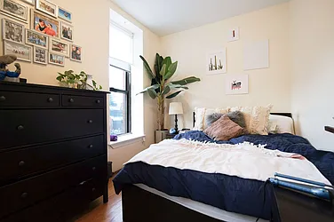 Rented by Bold New York