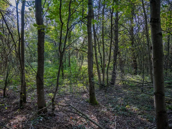 LOT 4 20th Ave, Necedah, WI 54646