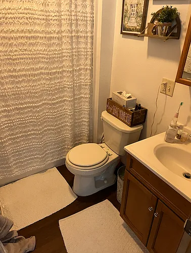 21343 Wolfe Run Ln Photo 1