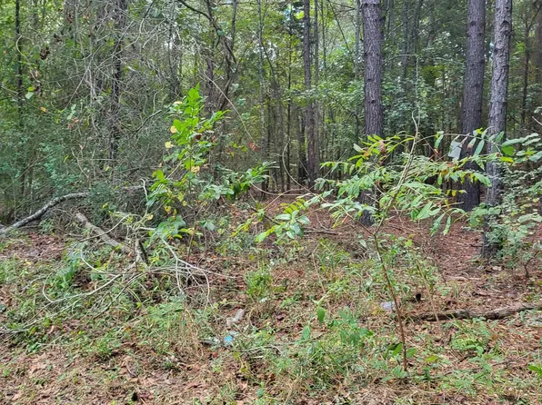 18275 County Road 237, Tyler, TX 75705