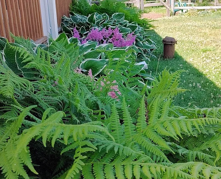 94 Cross Rd — Photo 67