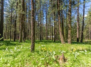 15 Mustard Mountain Rd, Winthrop, WA 98862