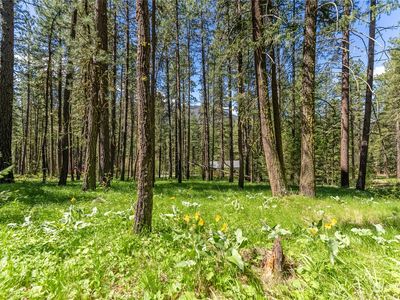 15 Mustard Mountain Road, Winthrop, WA, 98862