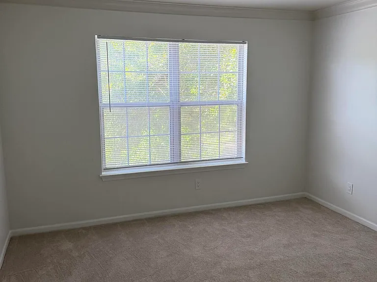 7701 Timberlin Park Blvd #1131 — Photo 6