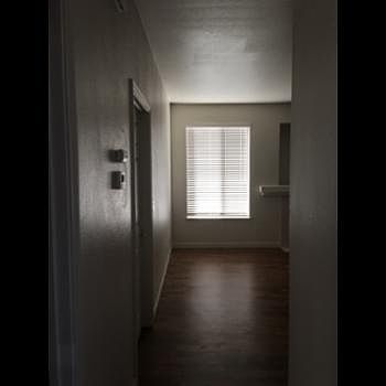 4th image of 3941 Angelina Ln