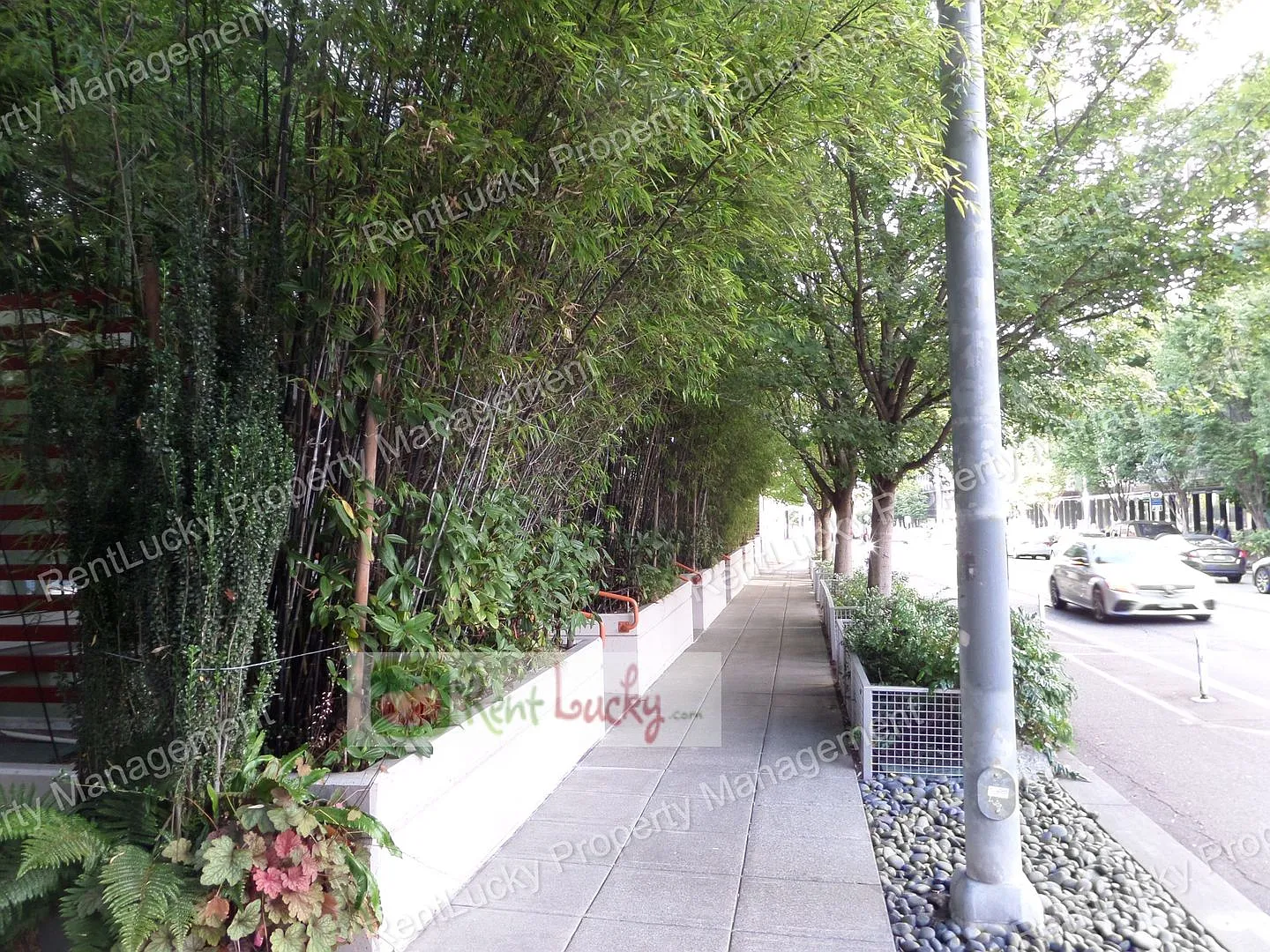 Super Unique & Cool 1-Bedroom Condo in Veer Lofts in South Lake Union! — Photo 2