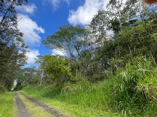 Plumeria Rd Lot 357, Pahoa, HI 96778