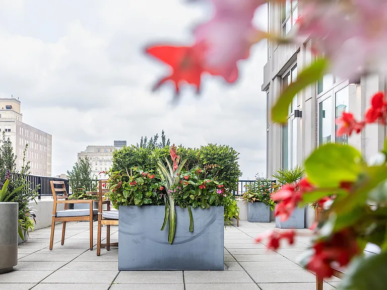 SunDeck