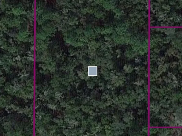 10088 W Ernie Court, Crystal River, FL 34428