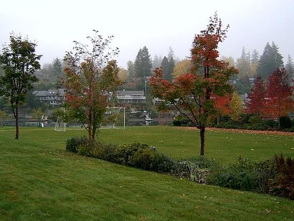 2nd image of 7901 Olympic View Dr NW