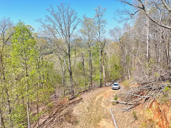 LOT 44 Arbor Ln, Blairsville, GA 30512