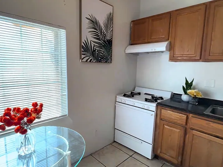 1142 W 37th Pl — Photo 13