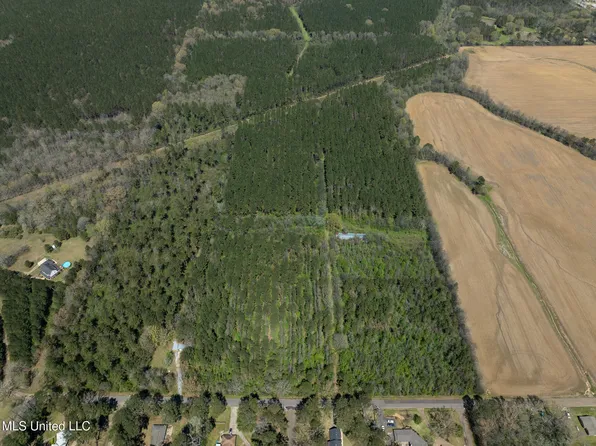 Townsend Rd, Forest, MS 39074