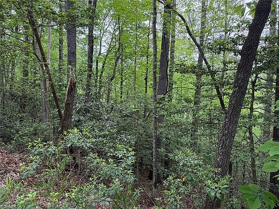 5th image of W Ridge Rd
