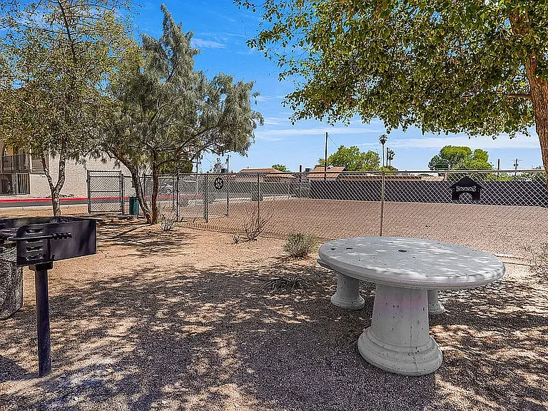 Sonoran Palms — Photo 8
