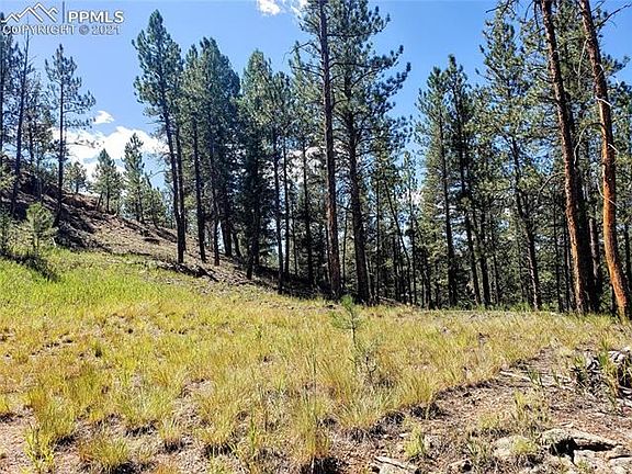 3rd image of 15126 N Pine Lake Pl