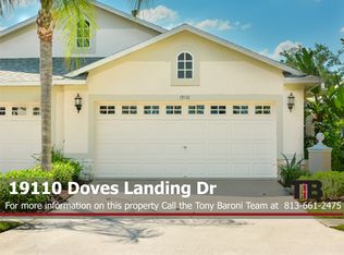 19110 Doves Landing Dr, Tampa, FL 33647