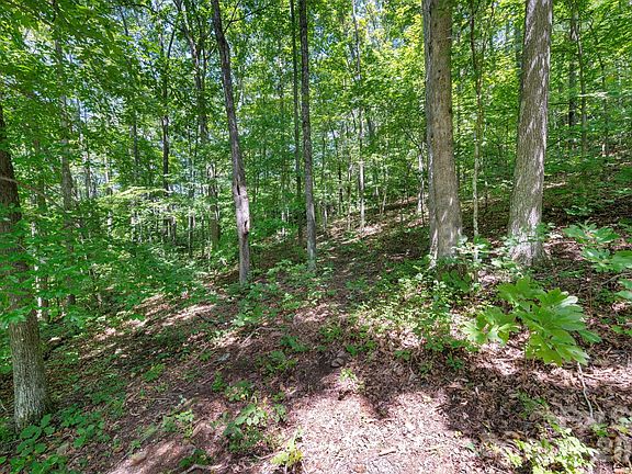 4th image of 1250 Arborcrest Way #43