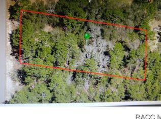 5741 S Luray Ter, Inverness, FL 34452