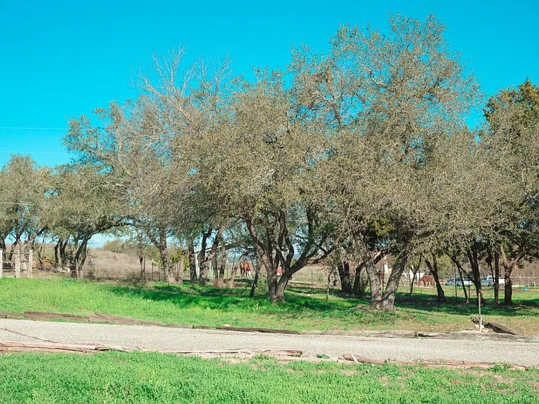 22715 State Highway 71 W — Photo 43