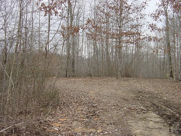 4th image of 1890 Charter Creek Subtle Rd