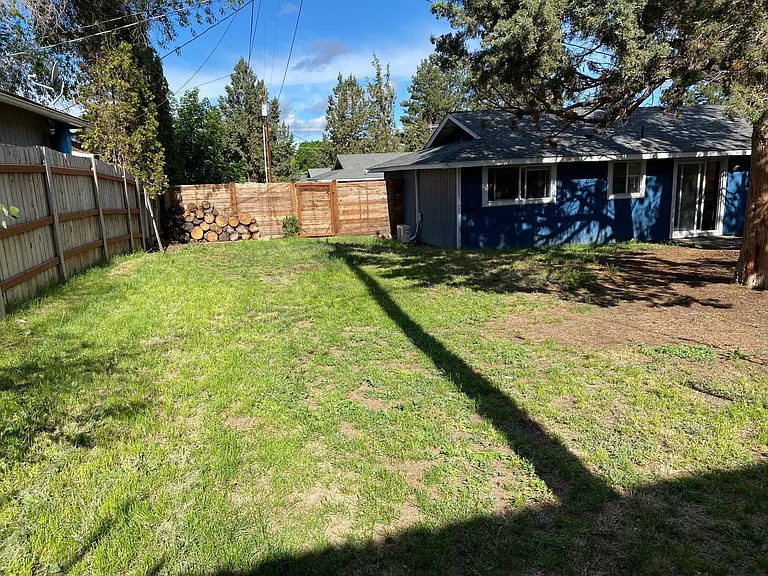 One more of the large backyard