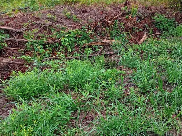 Latane Dr, Colonial Beach, VA 22443