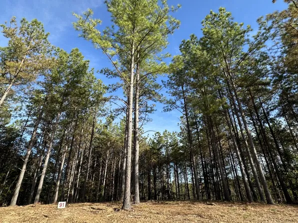 173 Center Ridge Dr Lot 91, Hohenwald, TN 38462