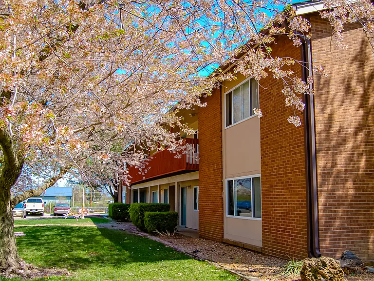 Shiloh Commons Holdings — Photo 20