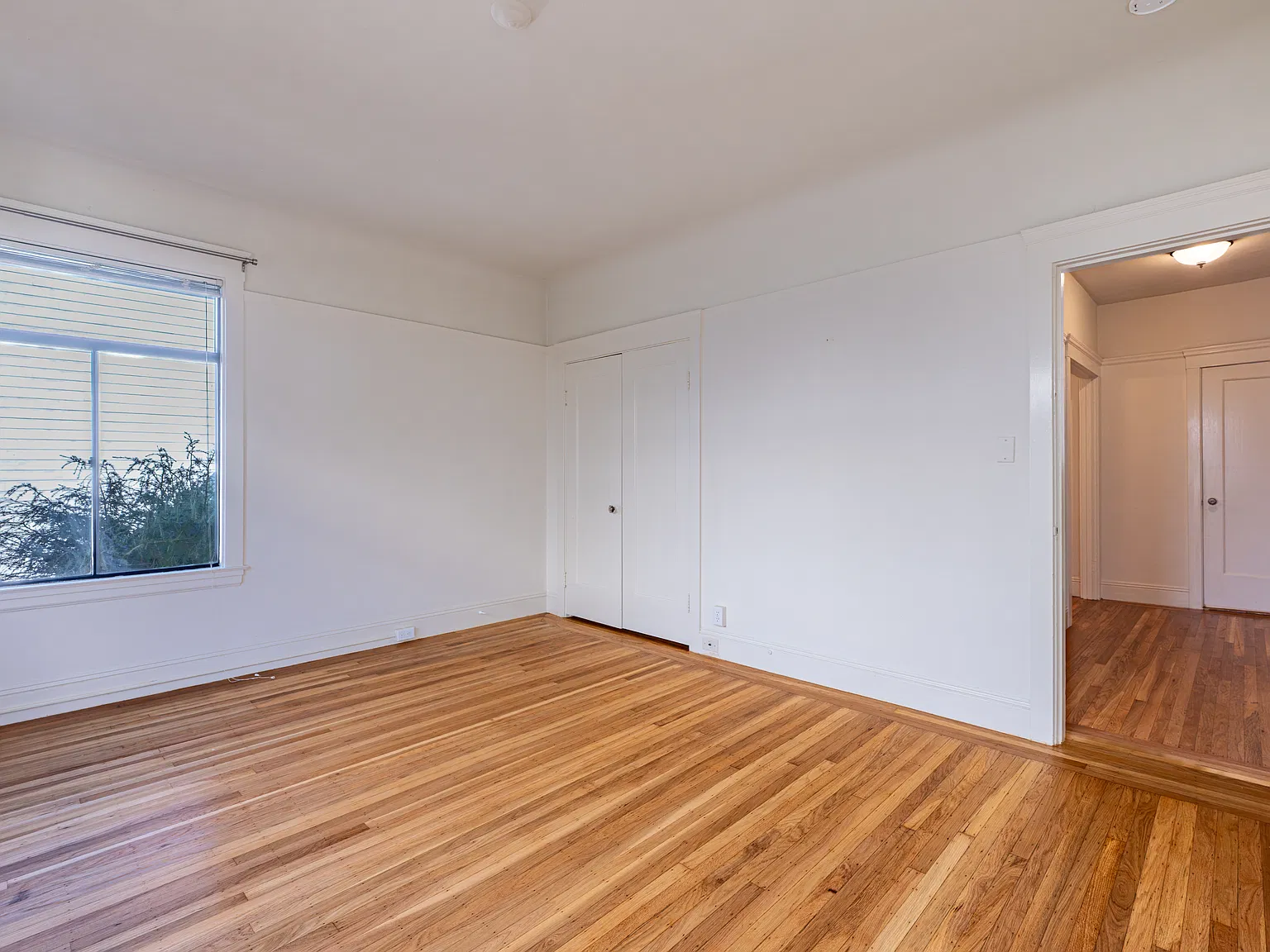 Studio, $3,695 — Photo 3
