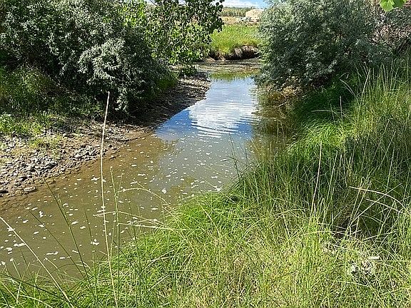 5th image of 655 Kannah Creek Rd