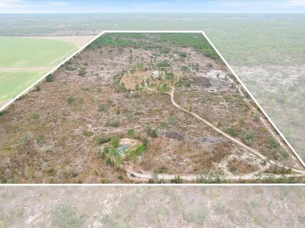 1252 NE 117th Ter, Williston, FL 32696