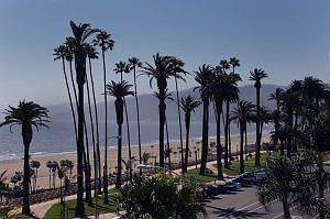 2nd image of 101 California Ave Unit 402