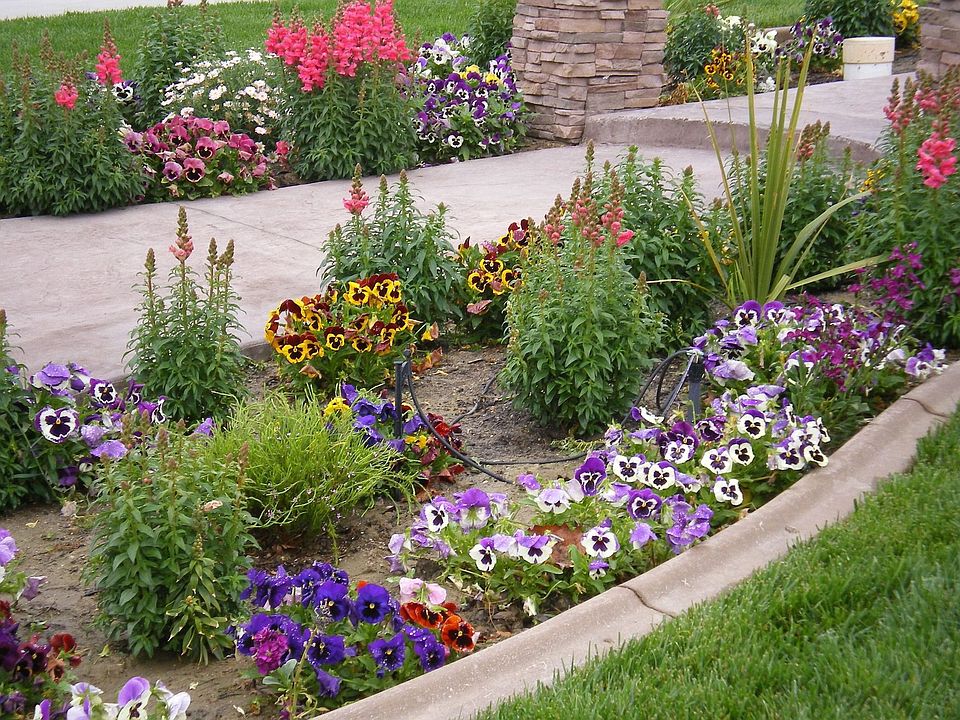 Beautiful flower gardens