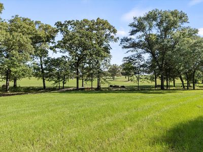 Tbd Vz County Road 3104, Edgewood, TX, 75117