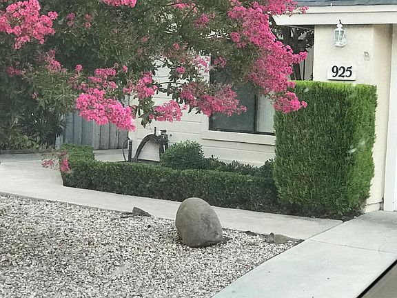 Front of house spring/summer