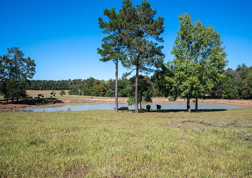 County Road 2050, Woodville, TX 75979 MLS 71168270 Zillow