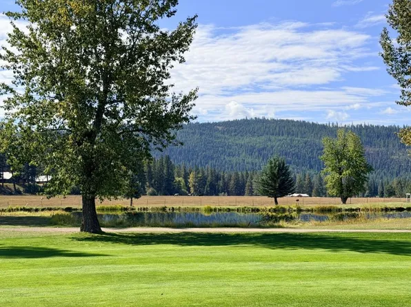 1308 Golf View Dr, Seeley Lake, MT 59868