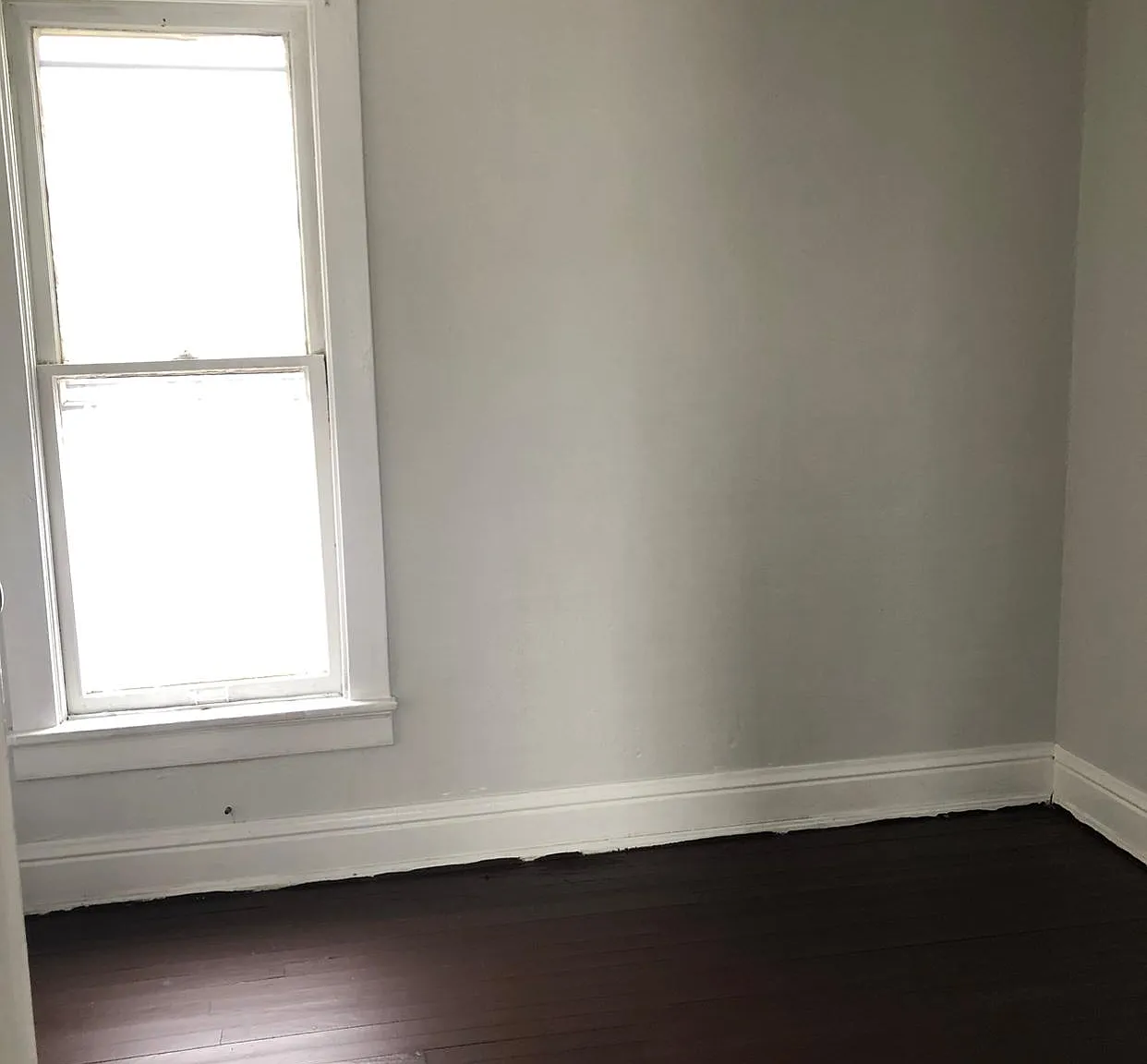 1 bed, $975 — Photo 1