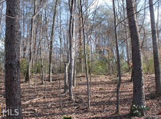 1131 E Lake Dr, Gainesville, GA 30506