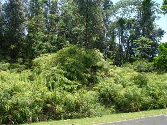 2nd image of Kumu St Lot 719
