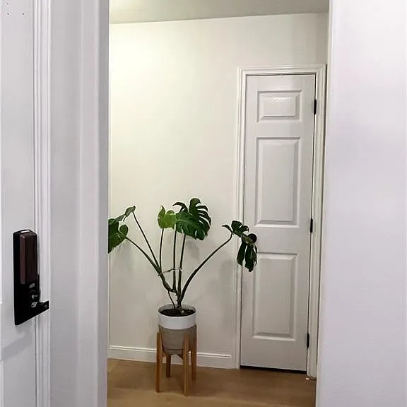 3304 Santa Olivia St — Photo 20
