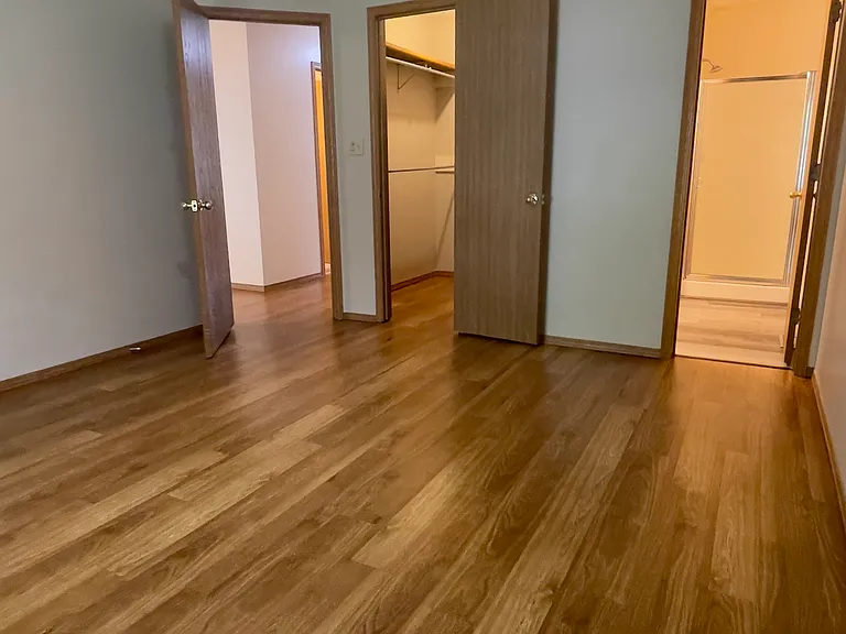 View from back corner of Master Bedroom looking at hallway to left, Large Walk-in Closet in center, and Master Bathroom to right.