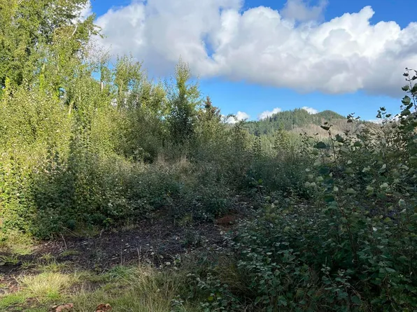 930 NE Highway 20, Toledo, OR 97391