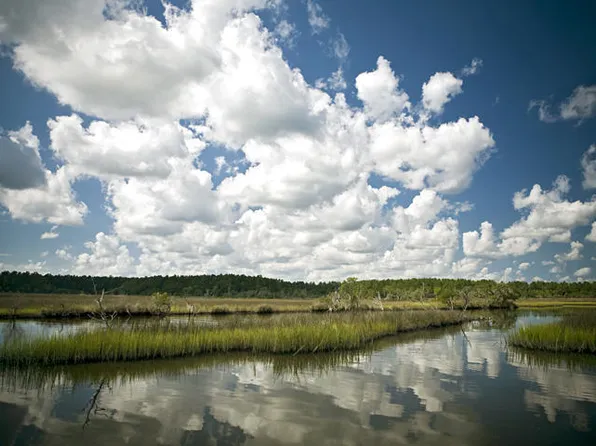 3989 Bulow Landing Rd, Ravenel, SC 29470