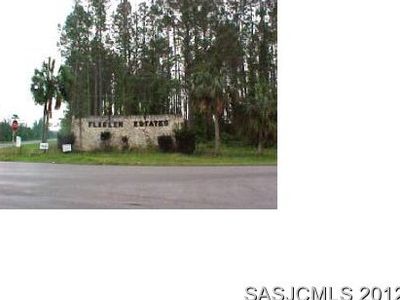 10415 Crotty Ave, Hastings, FL, 32145