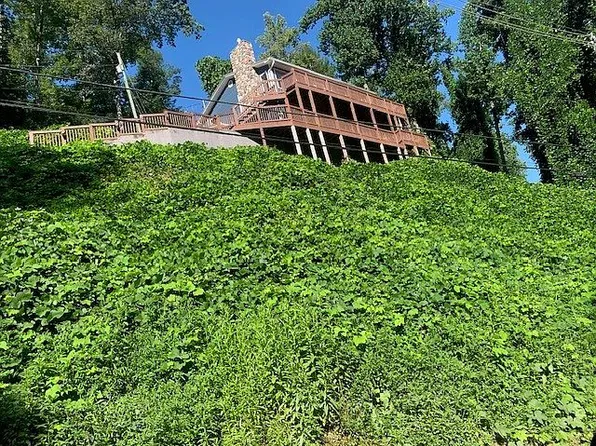230 Silverbell Ln, Gatlinburg, TN 37738