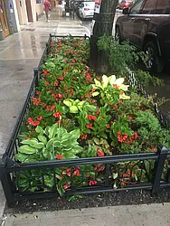 Rented by DGSIR REALTY