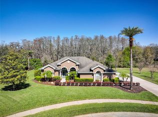 2659 Keystone Springs Rd, Tarpon Springs, FL 34688